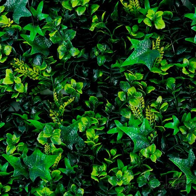 Rainforest Solart