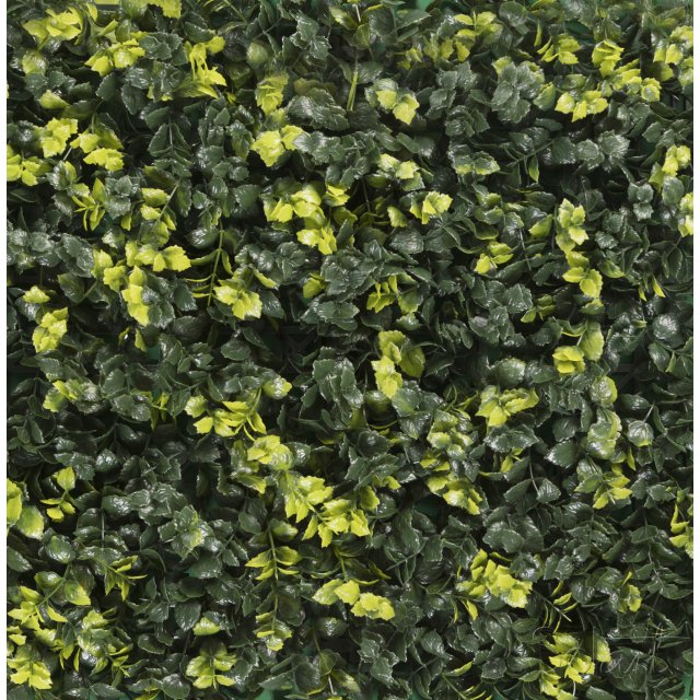Menta Solart