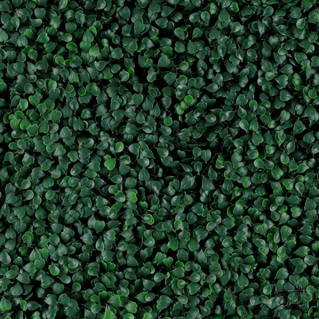 Green Boxus Solart