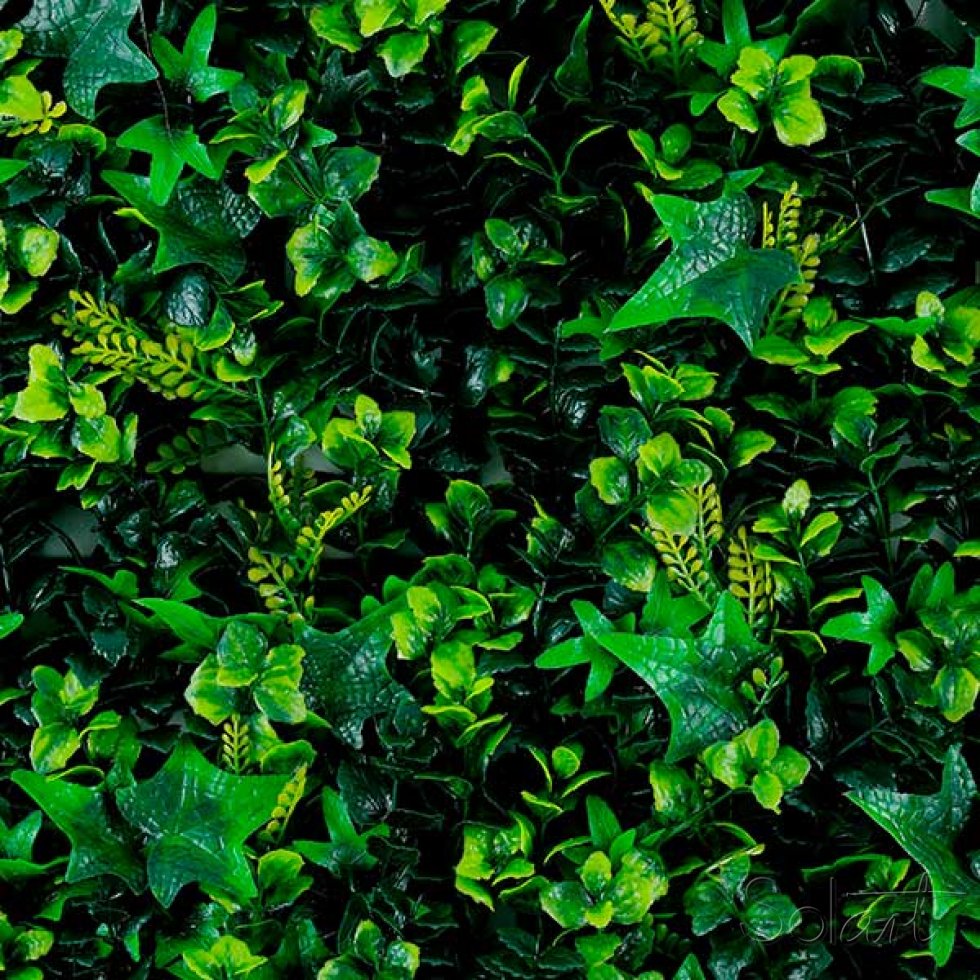 Rainforest Solart